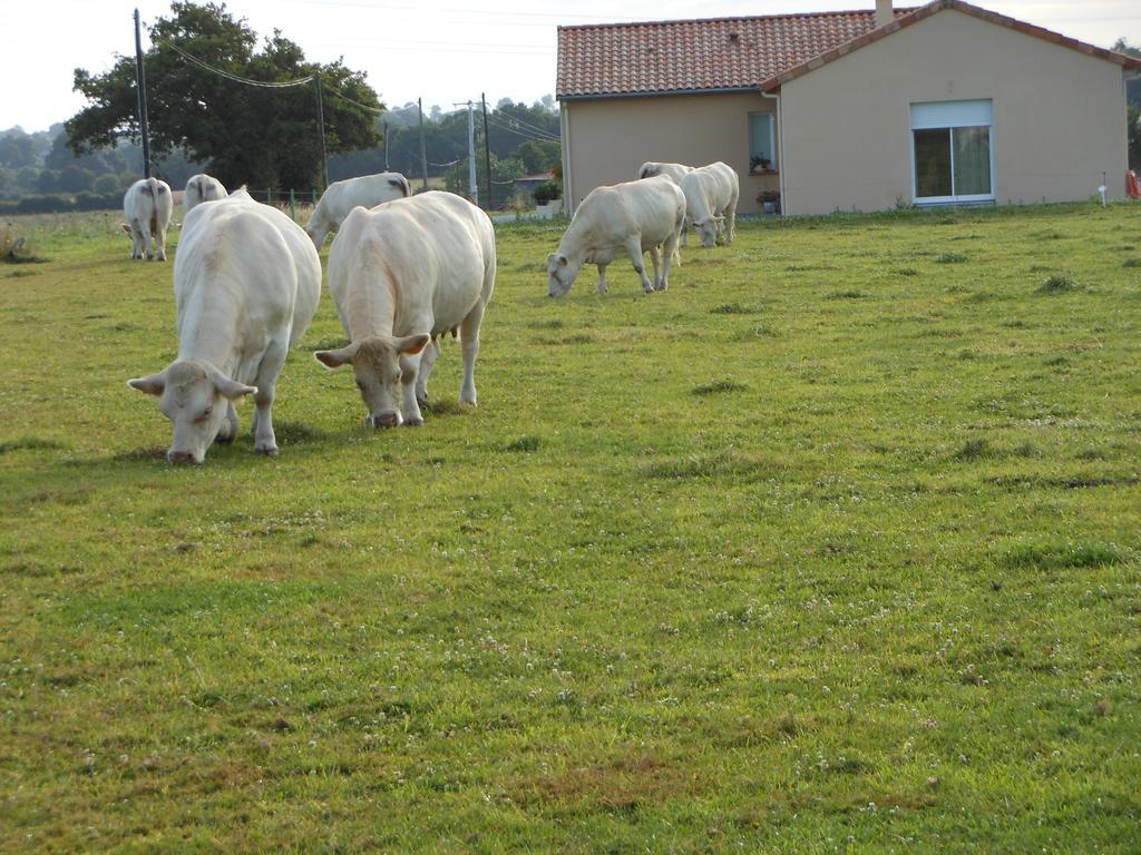 Chambre D'Hotes La Basse Gougeonniere Neuvy-en-Mauges Ngoại thất bức ảnh